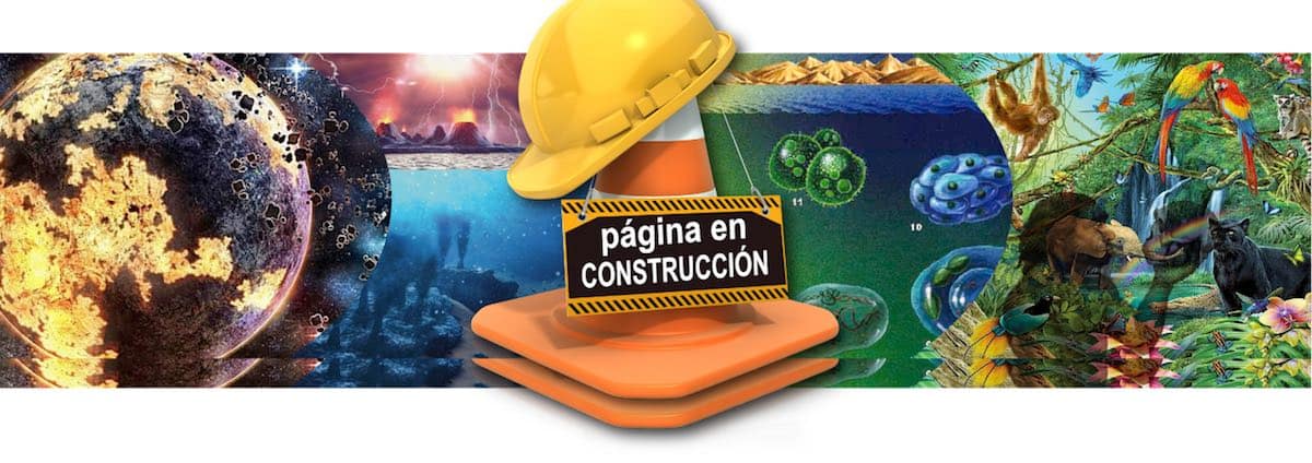 Cab en construccion